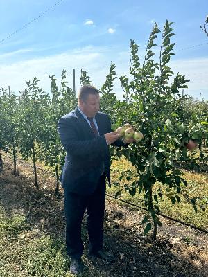 Сегодня заместитель Председателя Правительства Саратовской области - министр сельского хозяйства Саратовской области Роман Ковальский принял участие в XVIII Всероссийской выставке «День садовода – 2024»