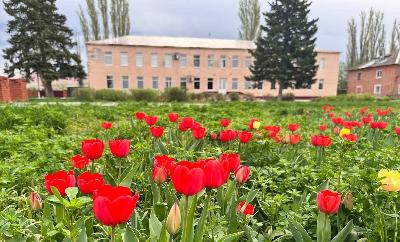 Краснокутской селекционной опытной станции – 115 лет. Поздравление Романа Ковальского