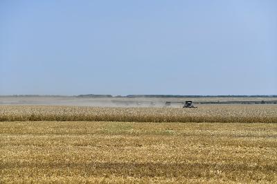 В Саратовской области стартовала уборочная кампания