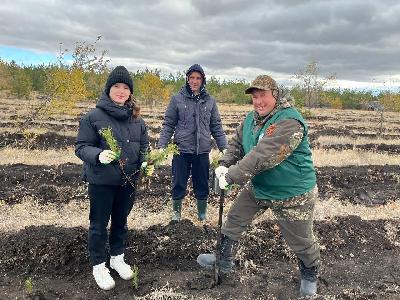 На территории региона в осенней период запланировано высадить 4 млн деревьев